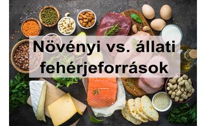 Növényi vagy állati fehérjék? Melyik a jobb?